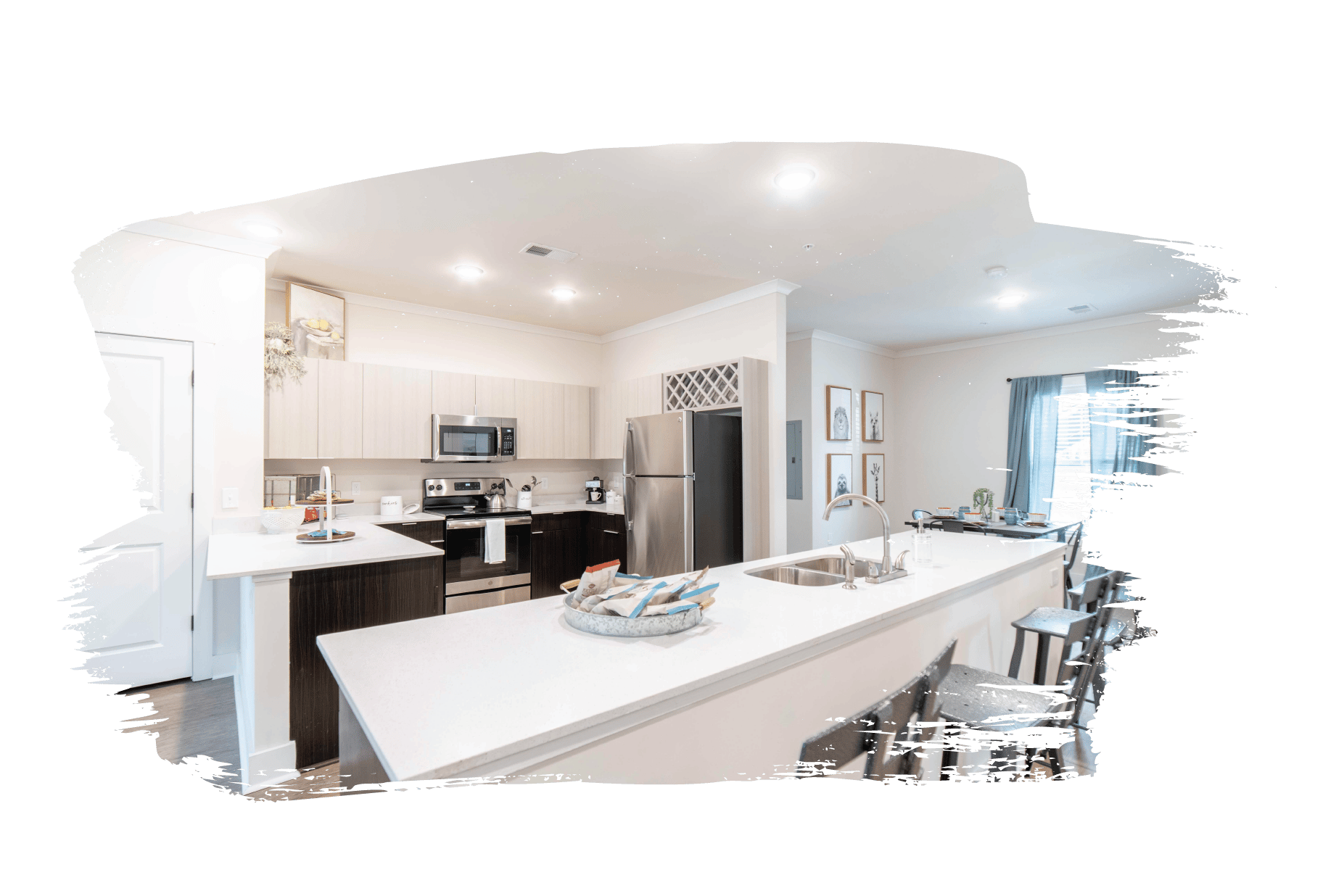kitchen cabinets & quartz countertops
