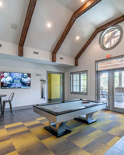 Clubhouse with pool table and tv