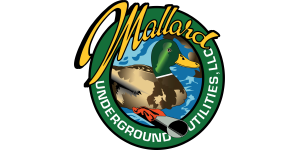 Logo 4