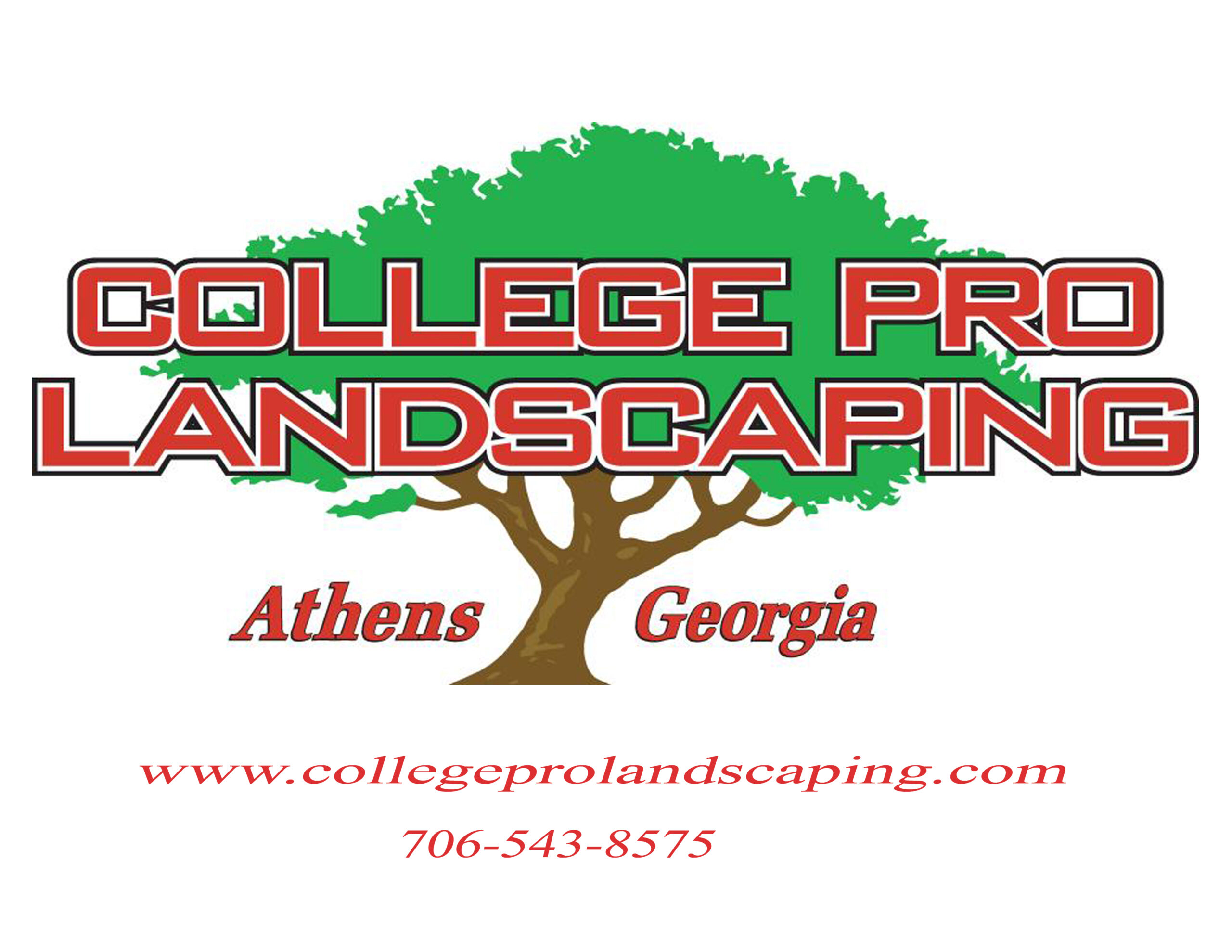 Logo 3