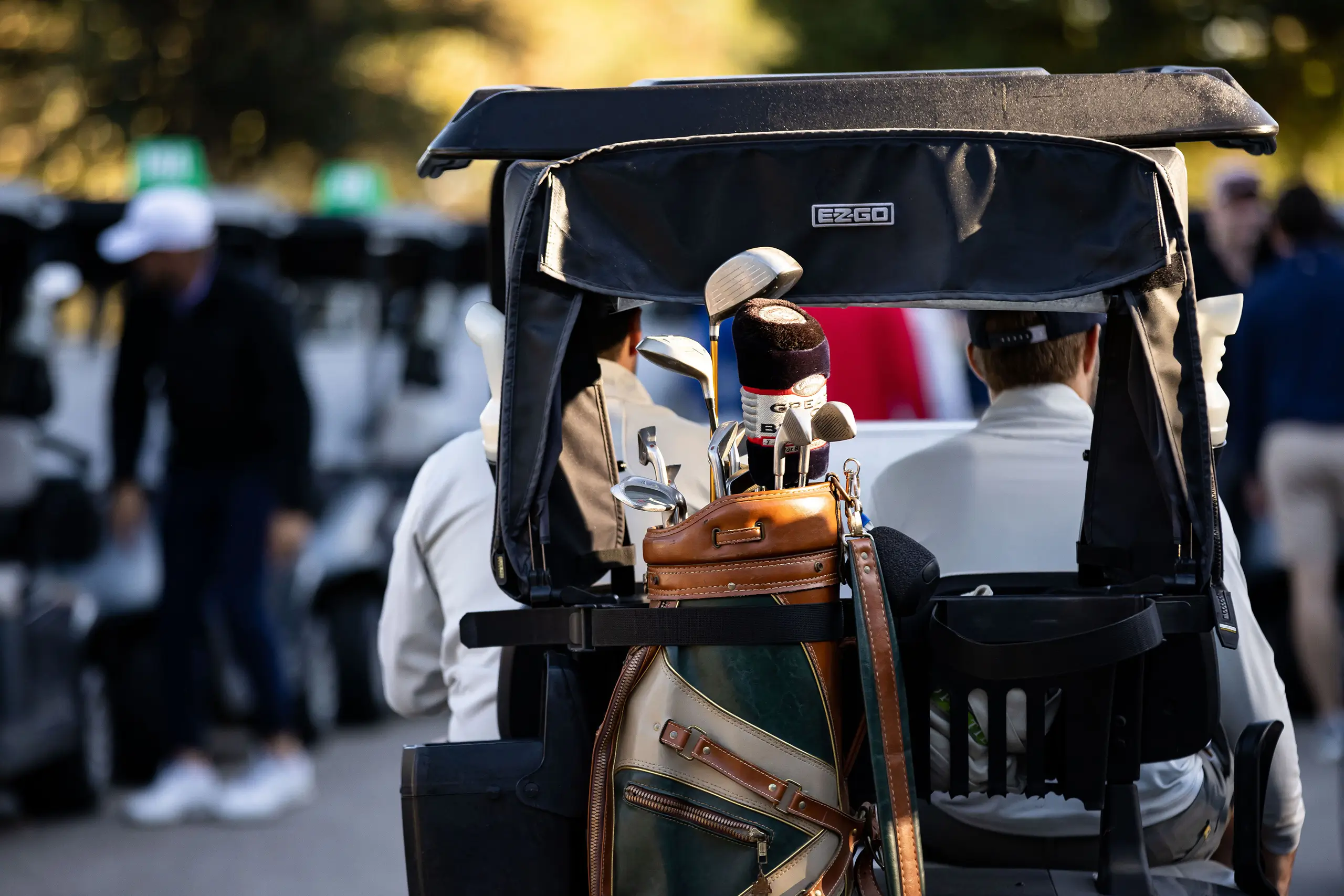 golf clubs in a bag